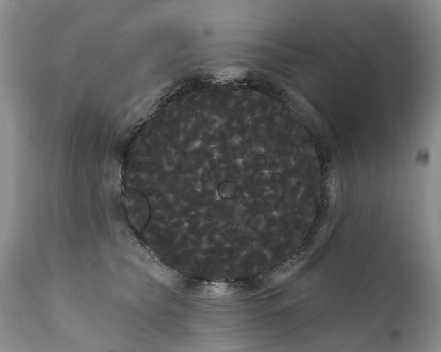 X0000111050565200907091636