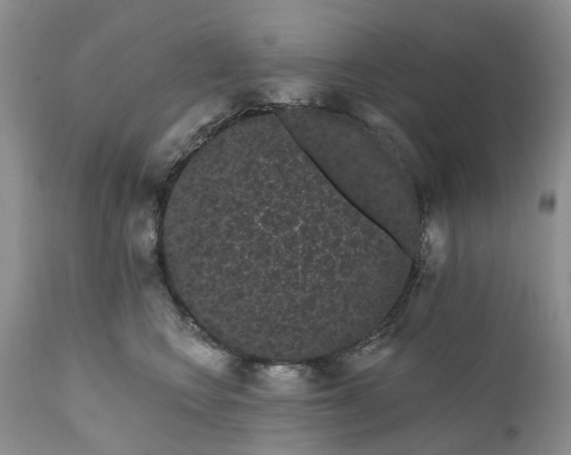 X0000111050566200907091636