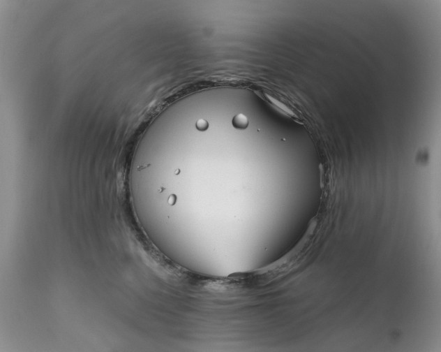 X0000111050568200907091636