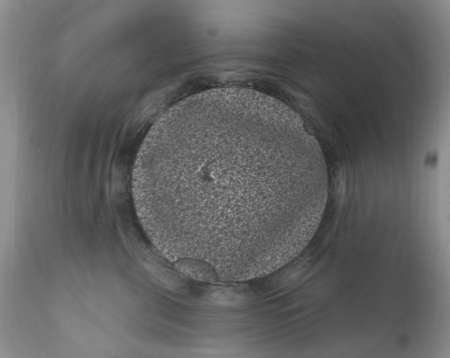 X0000111050571200907091636