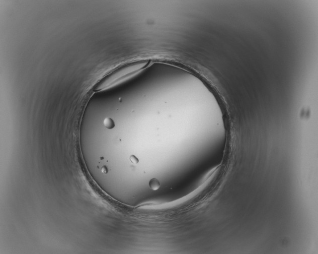 X0000111050577200907091636