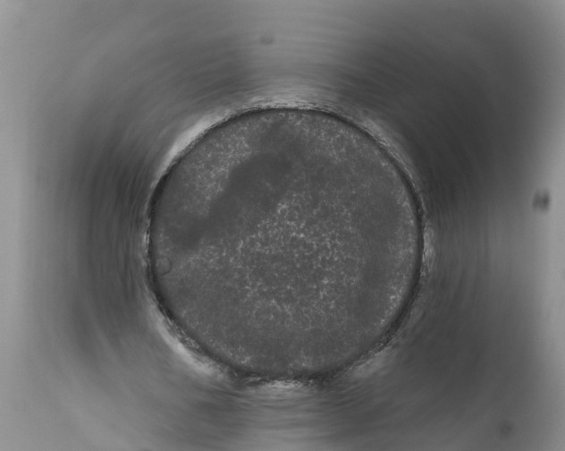 X0000111050578200907091635