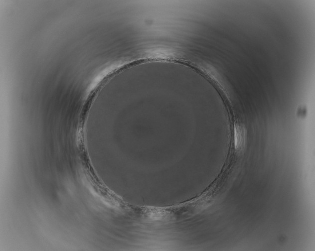 X0000111050579200907091635