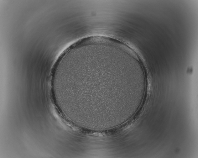 X0000111050580200907091635