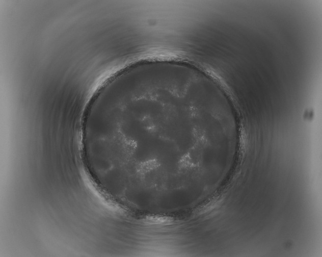 X0000111050582200907091635