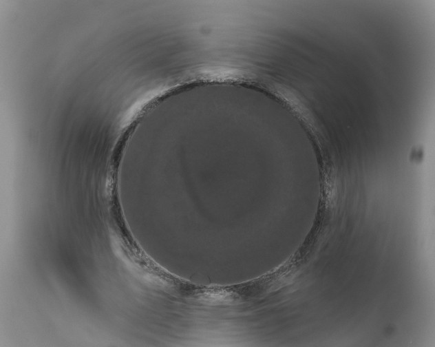 X0000111050583200907091635