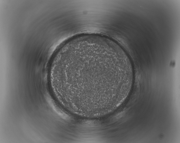 X0000111050584200907091635