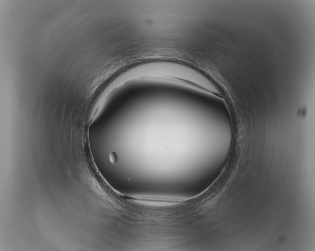 X0000111050585200907091635