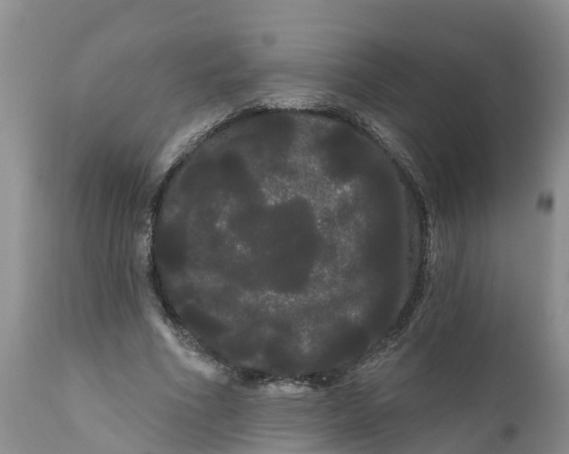 X0000111050586200907091635