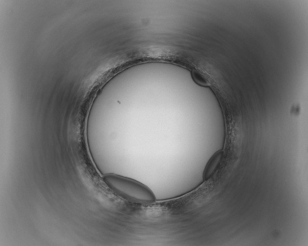 X0000111050587200907091635