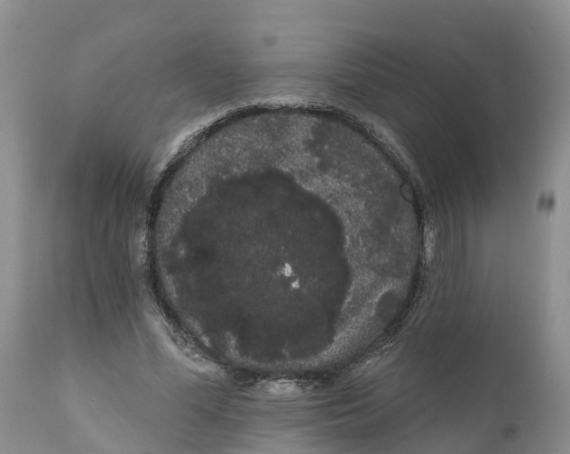 X0000111050588200907091635