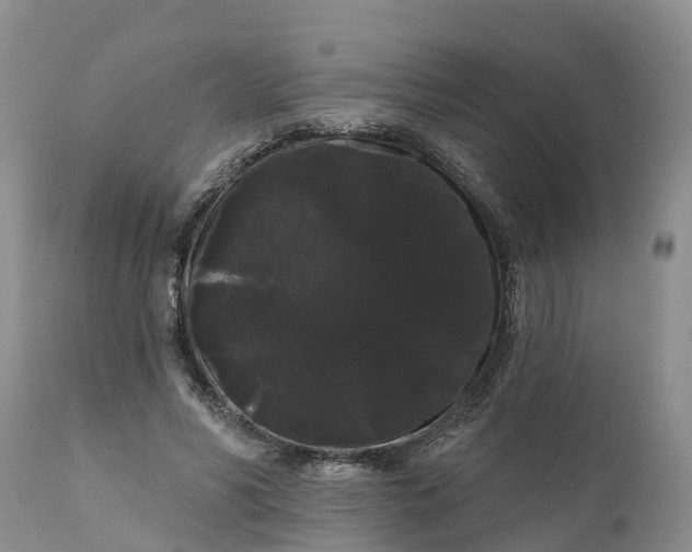 X0000111050590200907091635