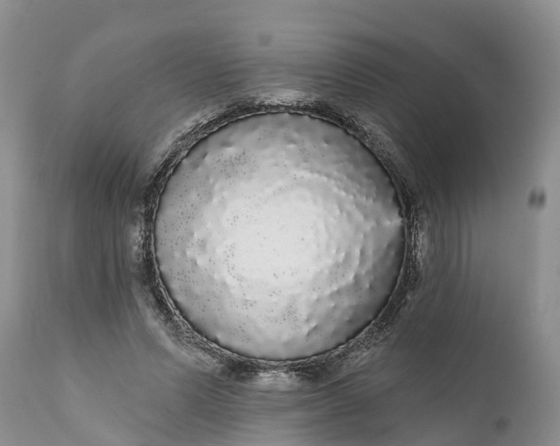 X0000111050591200907091635