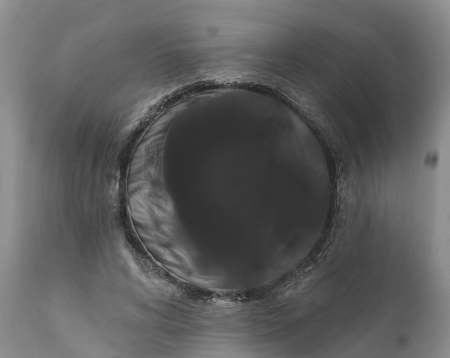 X0000111050592200907091635