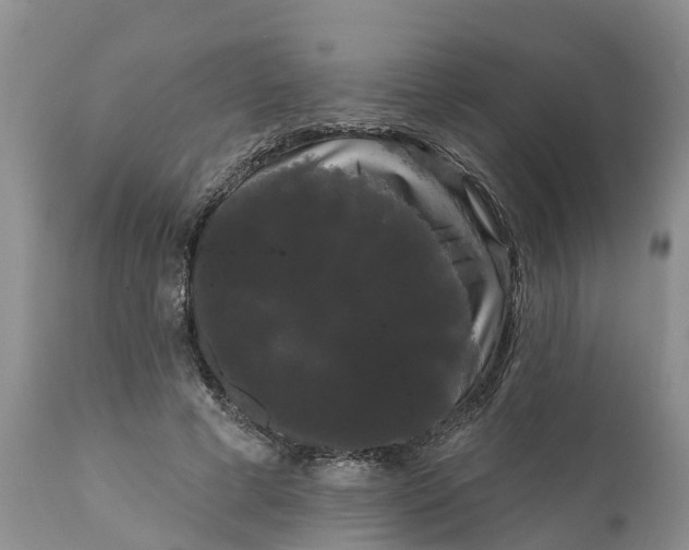 X0000111050593200907091635