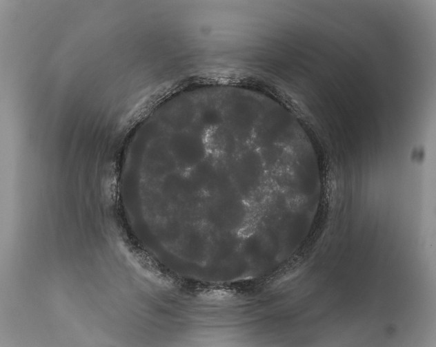 X0000111050594200907091635