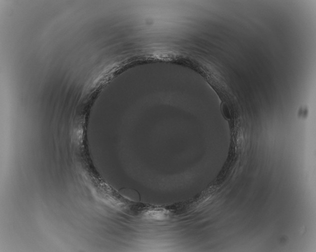 X0000111050595200907091635