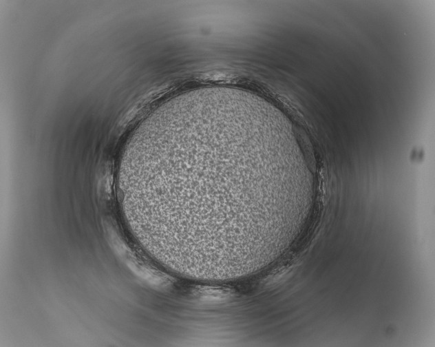 X0000111050597200907091635