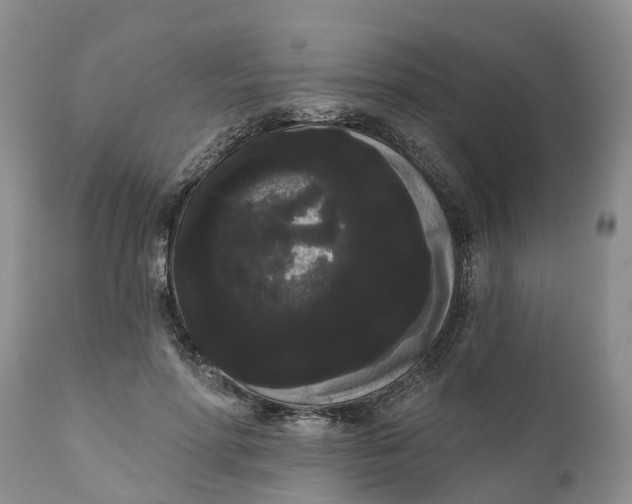 X0000111050598200907091635