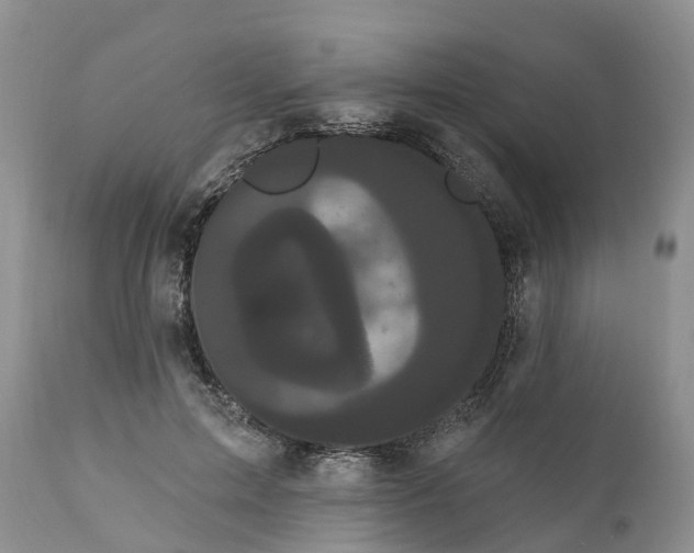 X0000111050599200907091635