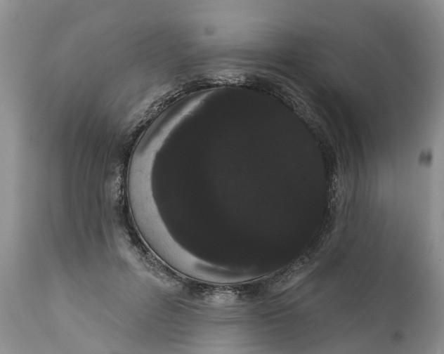 X0000111050600200907091635