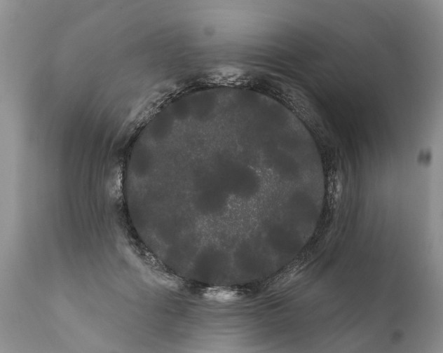 X0000111050602200907091635