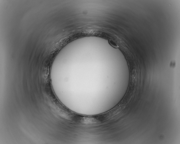 X0000111050605200907091635