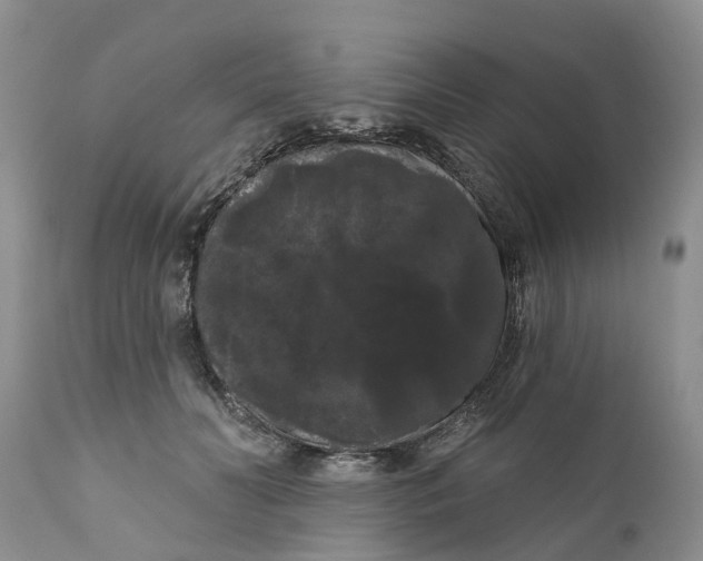 X0000111050606200907091635