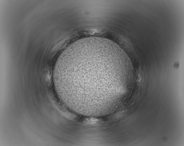 X0000111050607200907091635