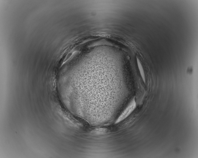 X0000111050609200907091635