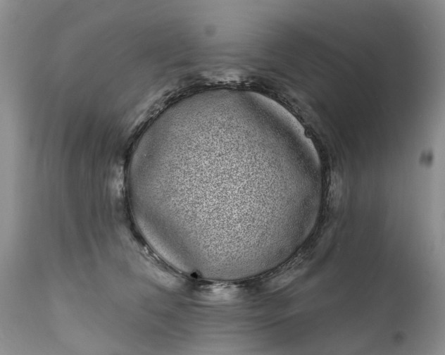 X0000111050612200907091635