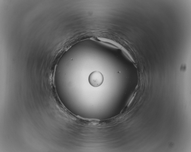 X0000111050613200907091635