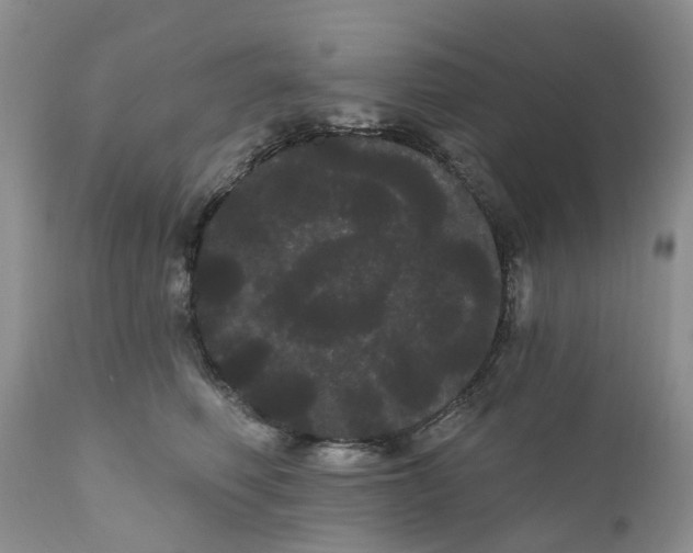 X0000111050614200907091635