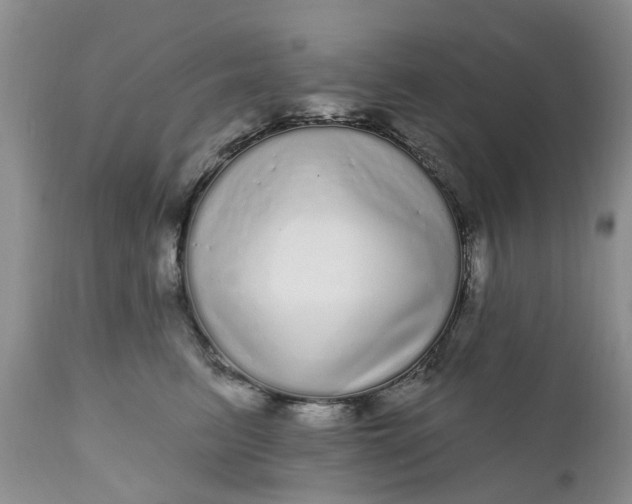 X0000111050615200907091635