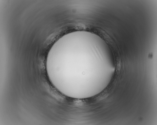 X0000111050616200907091635