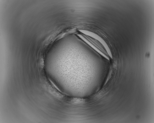 X0000111050617200907091635