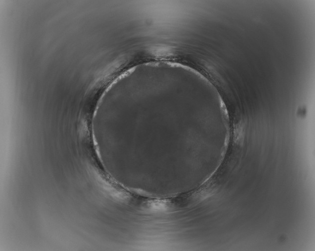 X0000111050618200907091635