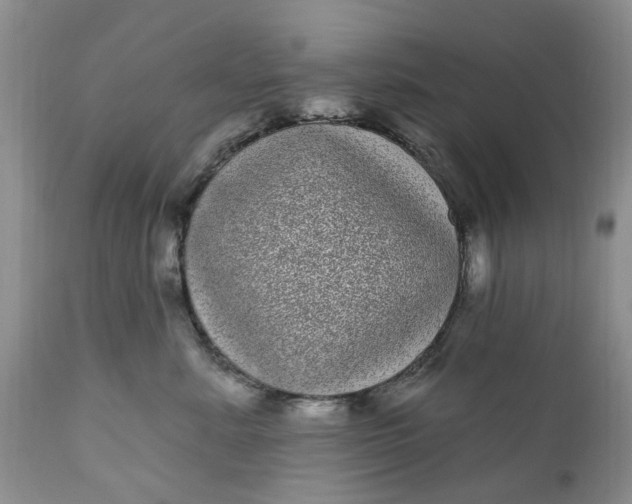 X0000111050619200907091635