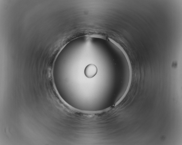 X0000111050621200907091635