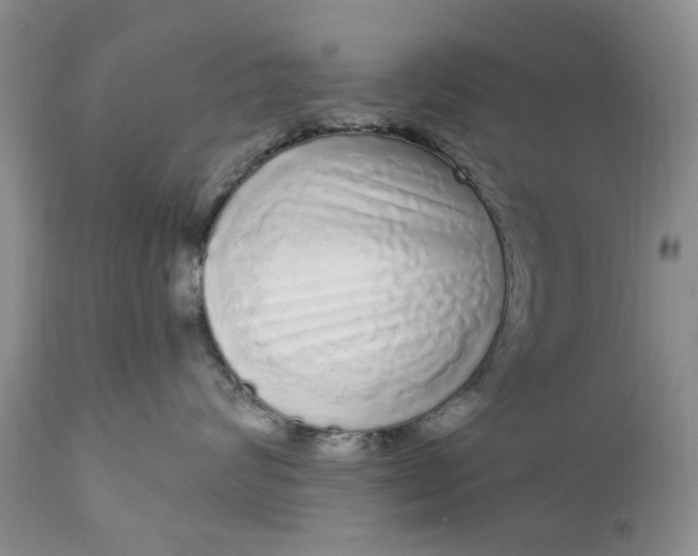 X0000111050624200907091635