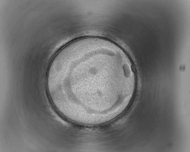 X0000111050625200907091634