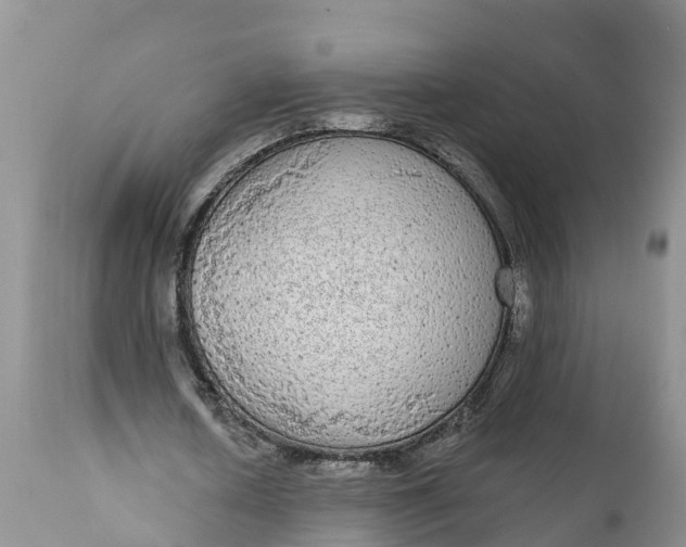 X0000111050626200907091634