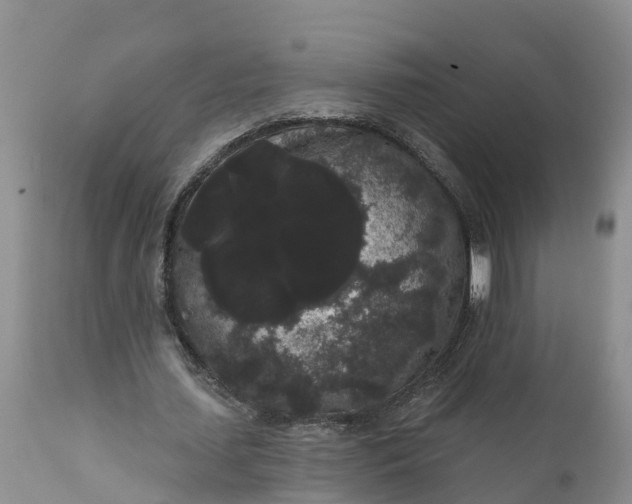 X0000111050627200907091634