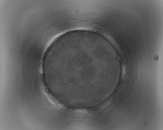 X0000111050628200907091634