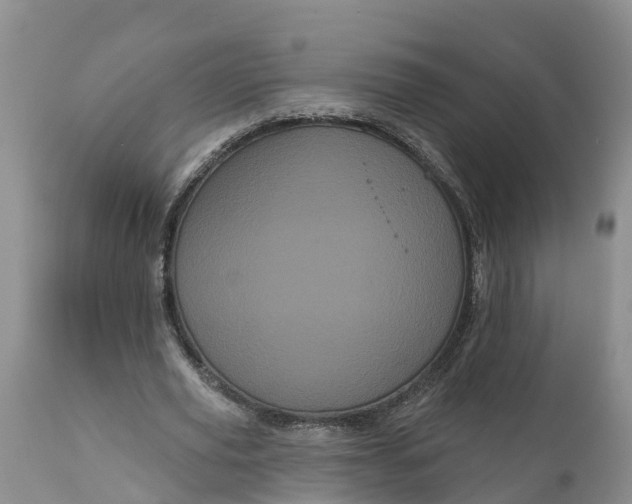 X0000111050629200907091634