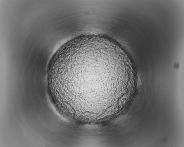 X0000111050630200907091634