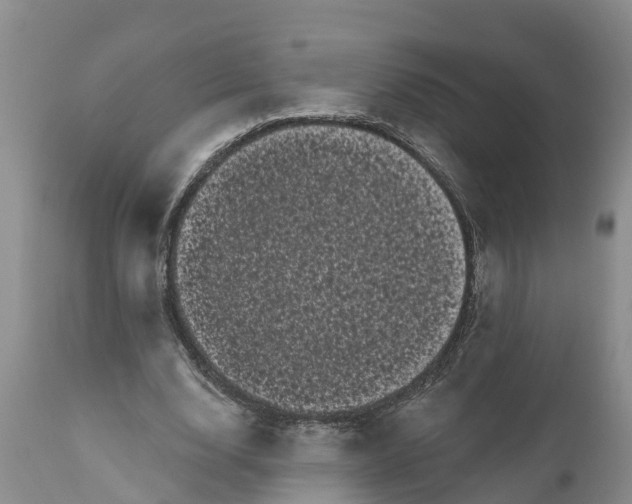 X0000111050632200907091634