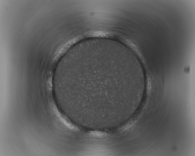 X0000111050633200907091634