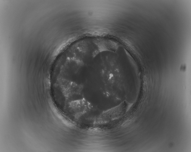 X0000111050634200907091634