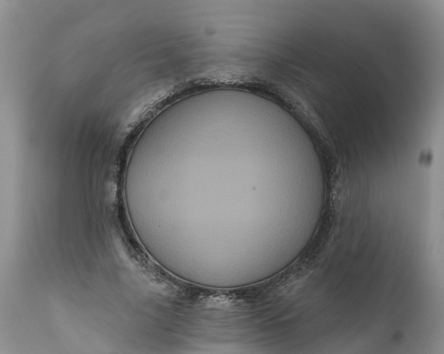 X0000111050635200907091634